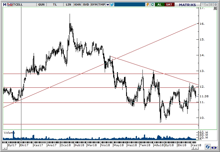 TCELL TCELL