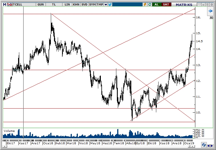 TCELL TCELL