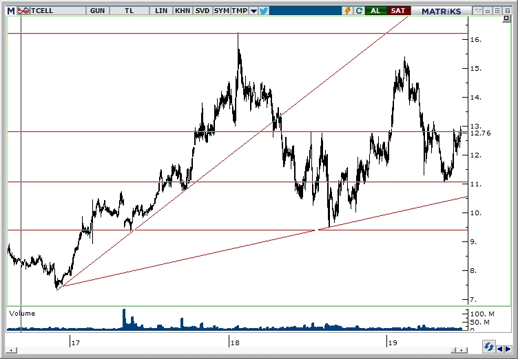 TCELL TCELL