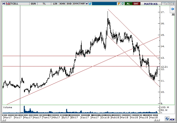 TCELL TCELL