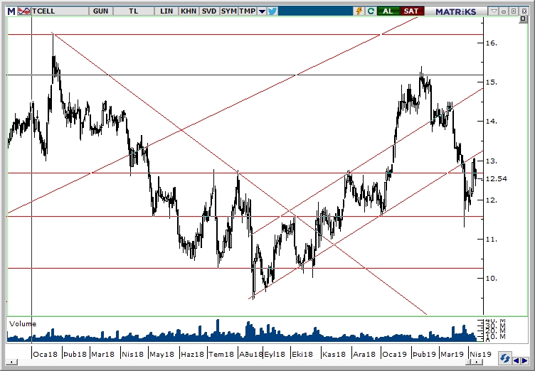 TCELL TCELL