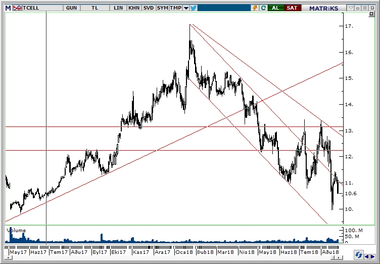TCELL TCELL